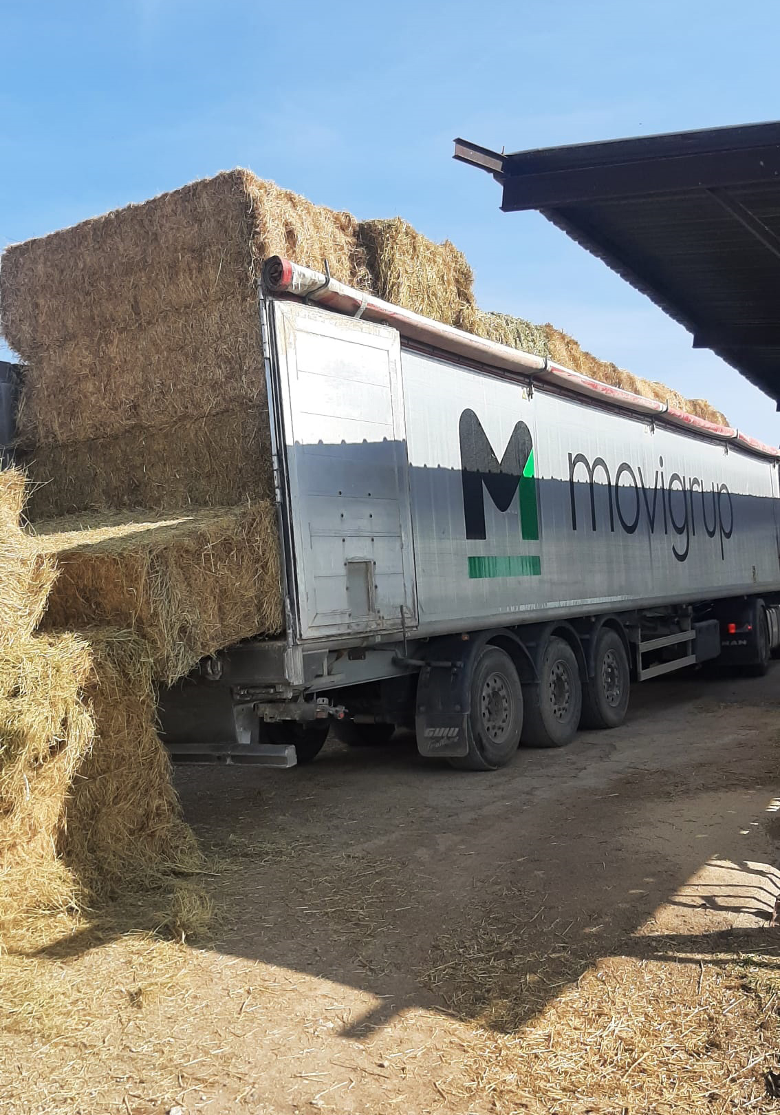 cid_ii_mi78qiti1 - B